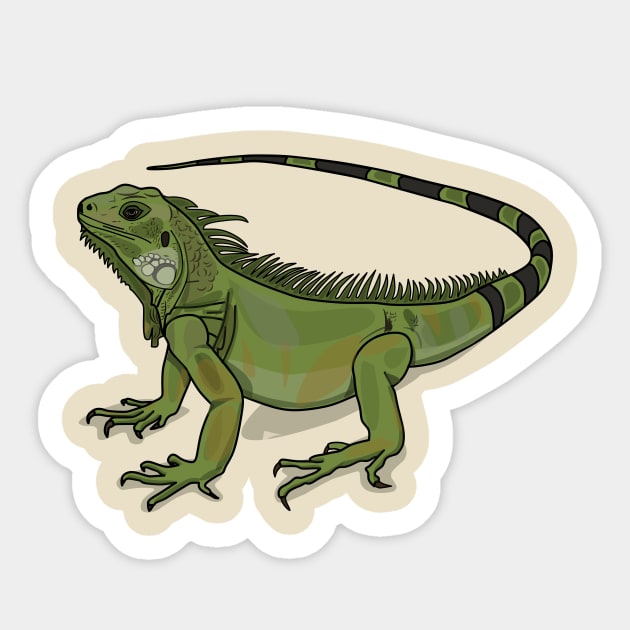 Iguana cartoon illustration Sticker by Miss Cartoon